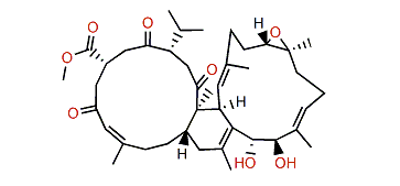 Sarelengan B